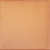 Плитка напольная CAÑADA GRES Natura 016 Terra 244x244 мм R11