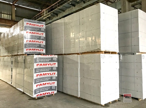 Газосиликатный блок FAMYLIT  600x100x288 D500